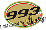 993 logo