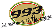 993 logo